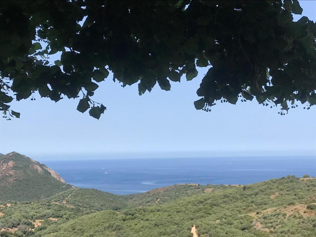 Villanova Les Terrasses De Scaglioliヴィラ エクステリア 写真