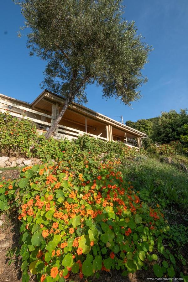 Villanova Les Terrasses De Scaglioliヴィラ エクステリア 写真